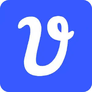 Vectorize AI - Raster-to-vector conversion using shape-fitting geometry